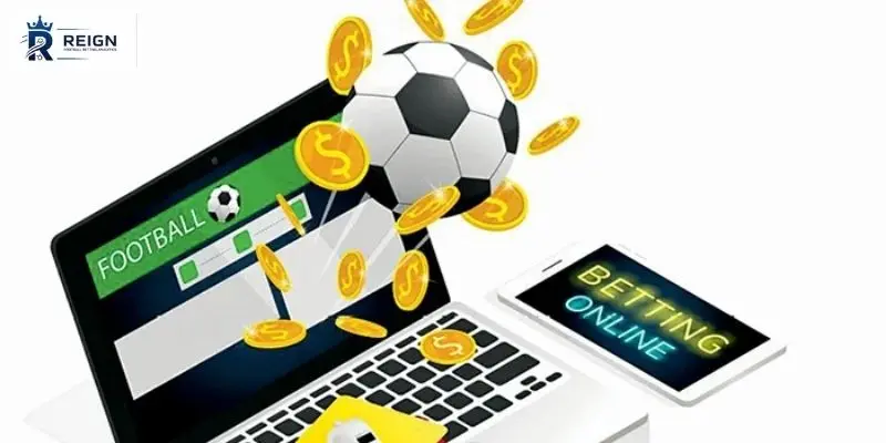 Cac thanh phan quan trong de xay dung mo hinh du bao bong da